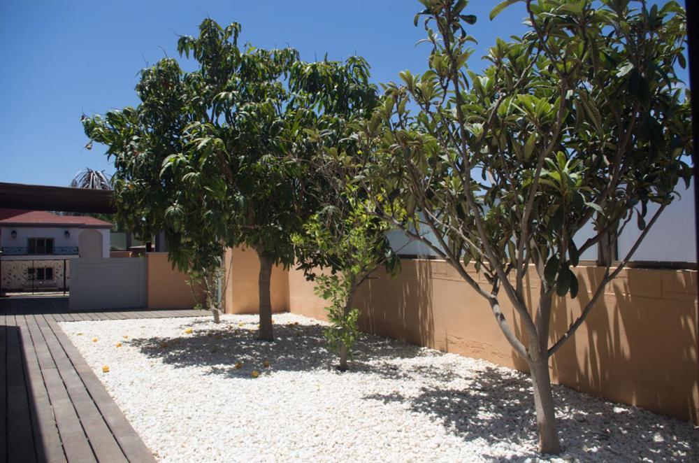 Villa La Marosca - Jacuzzi, Private Pool, 3 Bedrooms Caleta De Fuste Kültér fotó